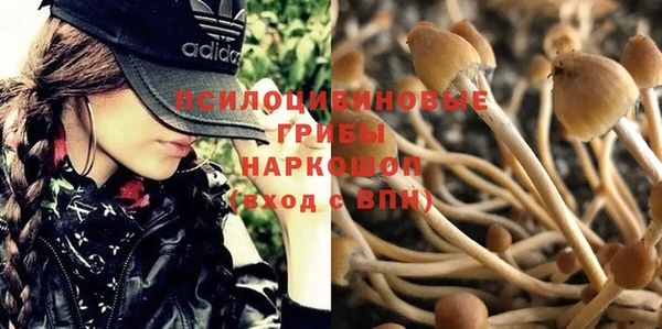 MDMA Алексин