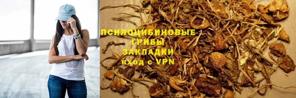 ПСИЛОЦИБИНОВЫЕ ГРИБЫ Абдулино